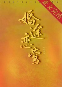 婚途txt